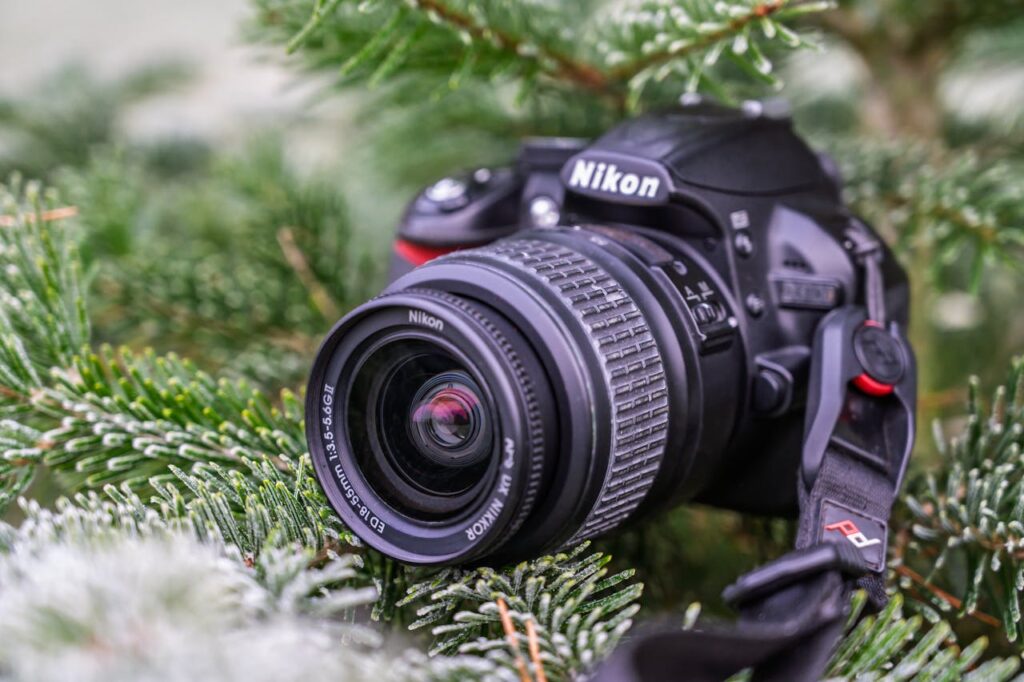Close-up of Nikon DSLR camera nestled in frosty pine branches, highlighting winter photography equipment.